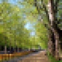 Low Resolution Image