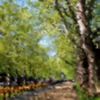 Painted Image